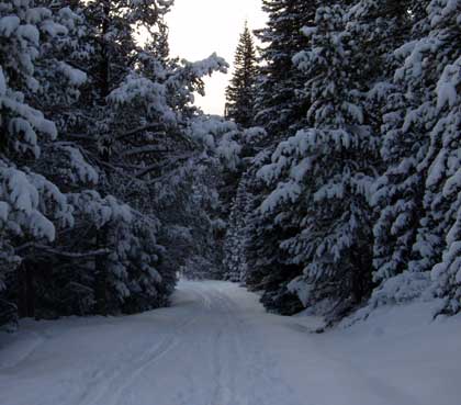 Colorado Snow